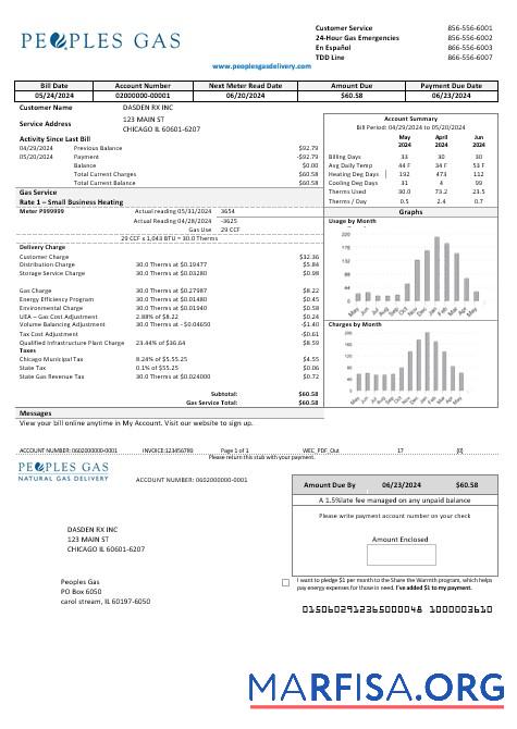 Printable USA Illinois Peoples Gas business utility bill template in Word and PDF formats